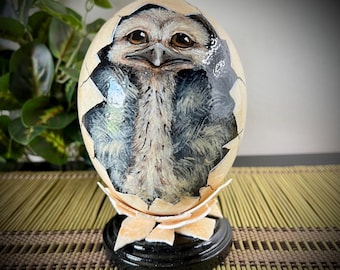 Hatching Ostrich - Hand painted ostrich egg