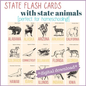 May include: A set of printable flashcards featuring the state animal of each US state. The cards are illustrated with black and white drawings of the animals. The state name is printed in a colorful box below each animal.