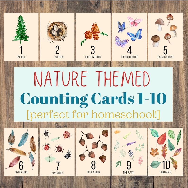 Nature Counting Cards 1-10 | Homeschool Printables - Etsy