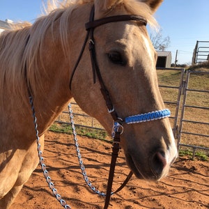 Puede incluir: Un caballo marr&oacute;n claro con un cabezal de cuero marr&oacute;n y una bozal de cuerda trenzada azul. El caballo est&aacute; de pie en una arena de tierra con una valla met&aacute;lica en el fondo.