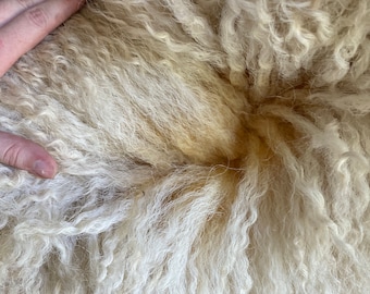 Valais Blacknose raw wool 4 oz