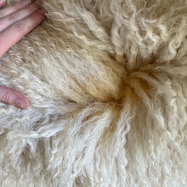 Valais Blacknose raw wool 4 oz