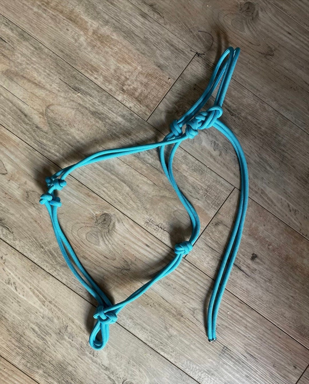 Noseless/bronc Rope Halter - Etsy