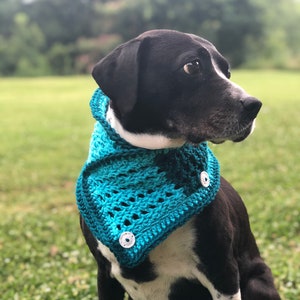 Tunisian Shell Cowl, Crochet Dog Scarf, Crochet Pattern, Instant Download