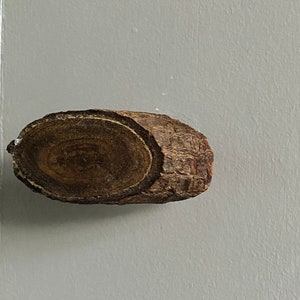 May include: A wooden knob with a natural bark finish and a circular grain pattern. The knob is a light brown colour and has a slightly oval shape.