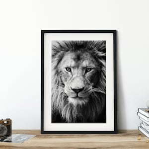 Lion Print, Framed Lion Print, Lion Fine Art Photography, African Animals Poster, Wall Art, Home Decor, Black & White Photography