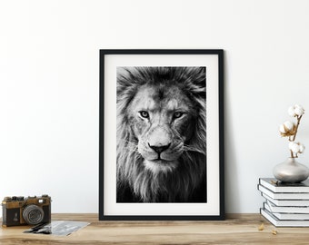 Lion Print, Framed Lion Print, Lion Fine Art Photography, African Animals Poster, Wall Art, Home Decor, Black & White Photography