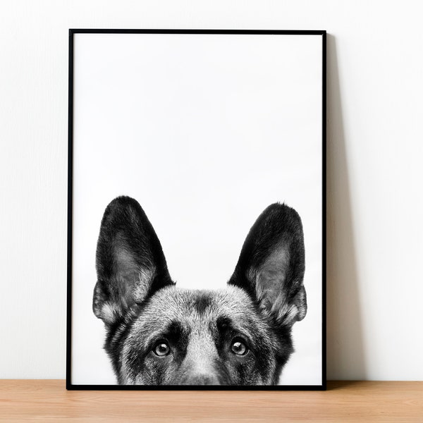 German Shepard Print, Dog Photo, Dog Poster, Dog Fine Art Photography, Framed Pet Prints, Wall Art Home Decor, Black and White