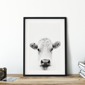 Cow Print, Cow Photo, Cow Poster, Cow Head, Cow Fine Art Photography, Nature Photography, Wall Art Home Decor, Framed Animal Print,