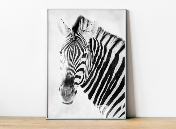 Zebra Print, Zebra Photo, Zebra Poster, Zebra Fine Art Photography, Safari African Animals, Wall Art Home Decor, Framed Zebra Print