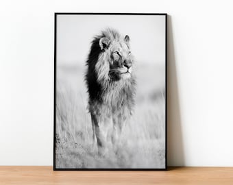 Lion Print, Framed Lion Print, Lion Fine Art Photography, African Animals Poster, Wall Art, Home Decor, Black & White Photography