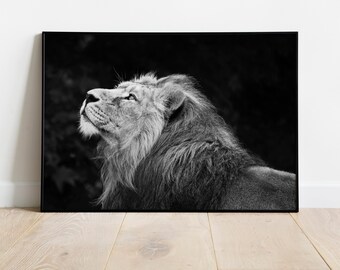 Lion Print, Framed Lion Print, Lion Fine Art Photography, African Animals Poster, Wall Art, Home Decor, Black & White Photography