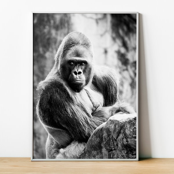 Gorilla Print, Gorilla Photo , Gorilla Poster, Gorilla Fine Art Photography, Safari African Animals, Wall Art Home Decor, Framed Gorilla