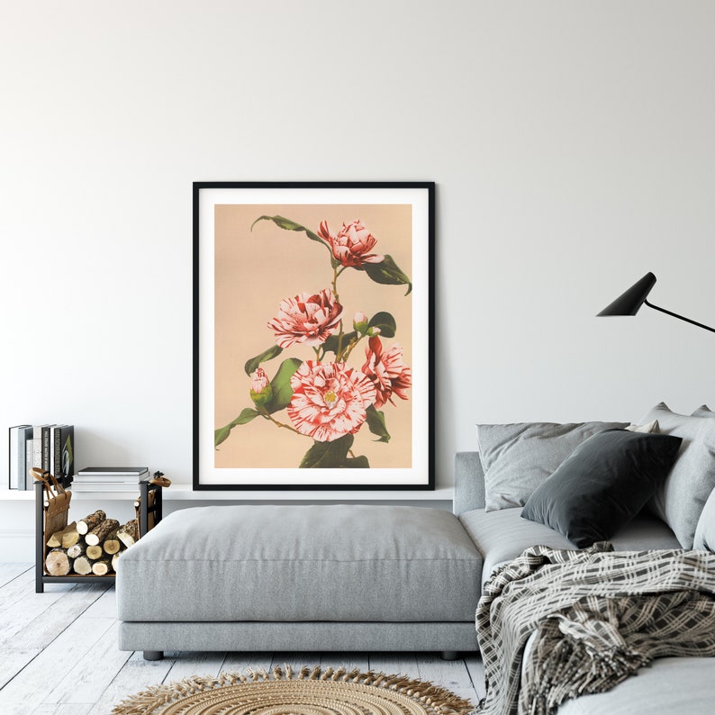 Japanese Flower Poster Ogawa Kazumasa Print Camellias | Etsy