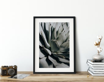 Cactus Print, Cactus Photography, Cactus Leaf Poster, Cactus Tree Print Wall Art, Cactus Wall Art, Wall Art Home Decor, Digital Download