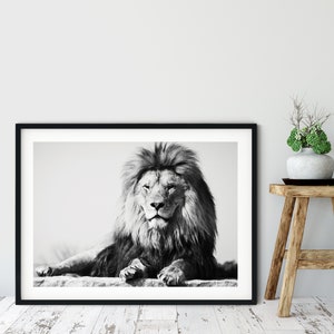 Lion Print, Framed Lion Print, Lion Fine Art Photography, African Animals Poster, Wall Art, Home Decor, Black & White Photography