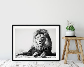 Lion Print, Framed Lion Print, Lion Fine Art Photography, African Animals Poster, Wall Art, Home Decor, Black & White Photography