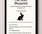 Fat Loss Blueprint: Step-by-Step Guide for Sustainable Weight Loss (PDF Booklet)