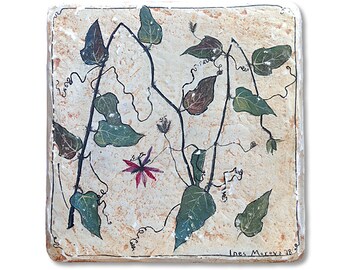 Herbario 01. Passiflora Subblanceolata: Arte botánico, fresco sobre tabla, temple al huevo sobre yeso, hierbas, 12,7 cm