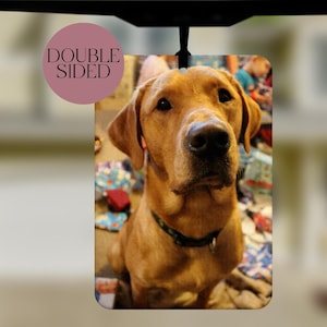 May include: A double-sided car air freshener with a rectangular shape, displaying a golden Labrador Retriever. The dog is the main focus, with brown fur and a black collar. The text "DOUBLE SIDED" is in a pink circle. The background is blurred.