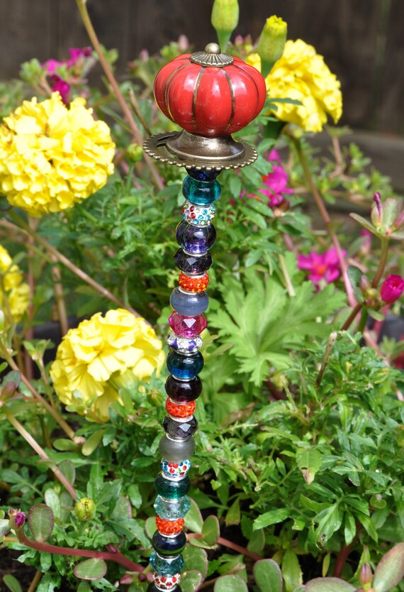 Estaca de la planta de la parte superior de la calabaza roja | Etsy