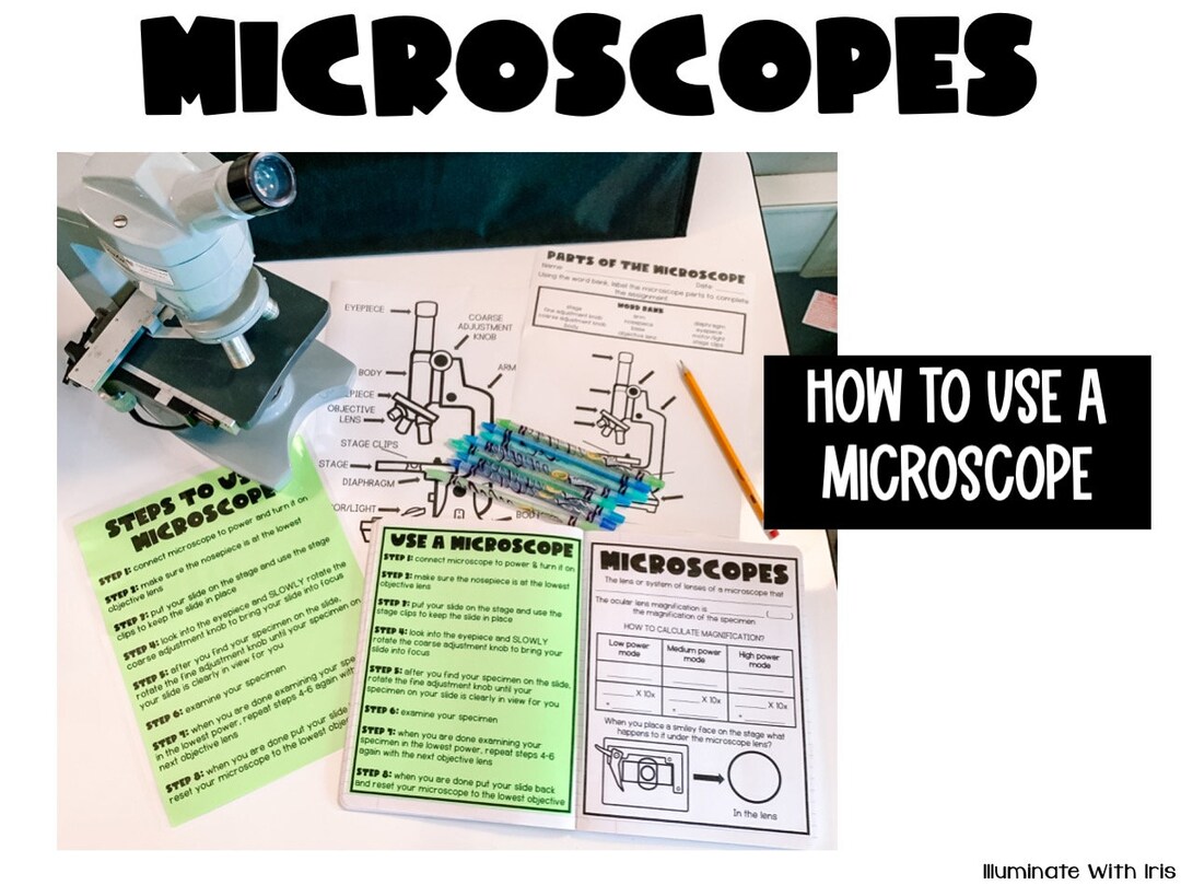 Introduction to Microscopes Lesson Plans Etsy