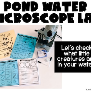 以下が含まれることがあります： 顕微鏡、生物キー、水質分析シートを備えた「Pond Water Microscope Lab」とラベル付けされた科学キット。「Let's check what little creatures are in your water!」というテキストも表示されています。