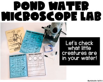 Actividad de laboratorio de microscopio de agua de estanque