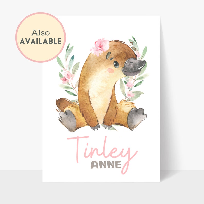 Australian Animal Nursery