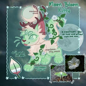 Moon Bloom Kitty Furry Fursona Adoptable
