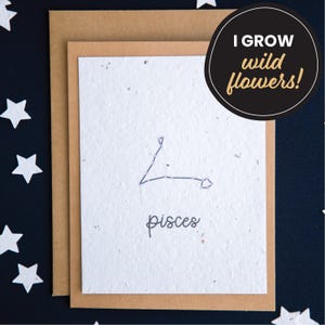 Cartes d'anniversaire zodiaque Poissons, cartes en papier graine, cartes d'anniversaire constellation, carte d'anniversaire horoscope, carte de signe astrologique, carte astrologie