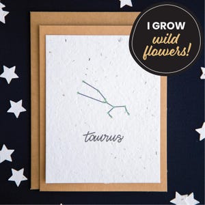 Carte d'anniversaire zodiaque taureau, cartes en papier graine, cartes d'anniversaire constellation, carte d'anniversaire horoscope, carte de signe astrologique, carte astrologie