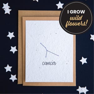 Carte d'anniversaire signe astrologique Cancer, cartes en papier graine, cartes d'anniversaire constellation, carte d'anniversaire horoscope, carte de signe astrologique, carte astrologie