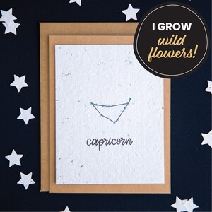 Carte d'anniversaire zodiaque Capricorne, cartes en papier graine, cartes d'anniversaire constellation, carte d'anniversaire horoscope, carte de signe astrologique, carte astrologie