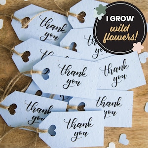 Étiquette-cadeau bleue pour la douche nuptiale, étiquettes en papier graine, lot de 10 étiquettes de cadeaux, étiquettes de mariage à planter, étiquettes cadeaux bleues, étiquettes de remerciement rustiques
