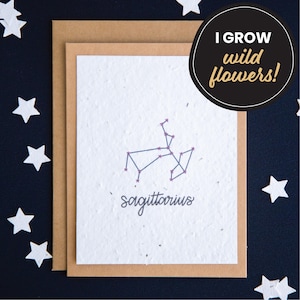 Carte d'anniversaire signe astrologique Sagittaire, cartes en papier graine, cartes d'anniversaire constellation, carte d'anniversaire horoscope, carte de signe astrologique, carte d'astrologie