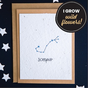 Carte d'anniversaire signe astrologique Scorpion, cartes en papier graine, cartes d'anniversaire constellation, carte d'anniversaire horoscope, carte de signe astrologique, carte astrologie