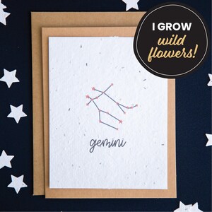 Carte d'anniversaire zodiaque Gémeaux, cartes en papier graine, cartes d'anniversaire constellation, carte d'anniversaire horoscope, carte de signe astrologique, carte astrologie
