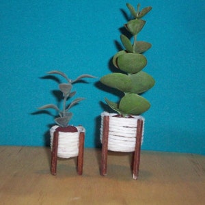 Miniature Floor Planter with Plant