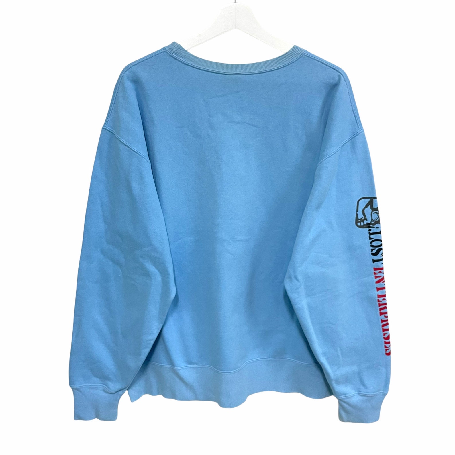 PICK Vintage Lost Skateboard Sweater Pullover Baby Blue - Etsy