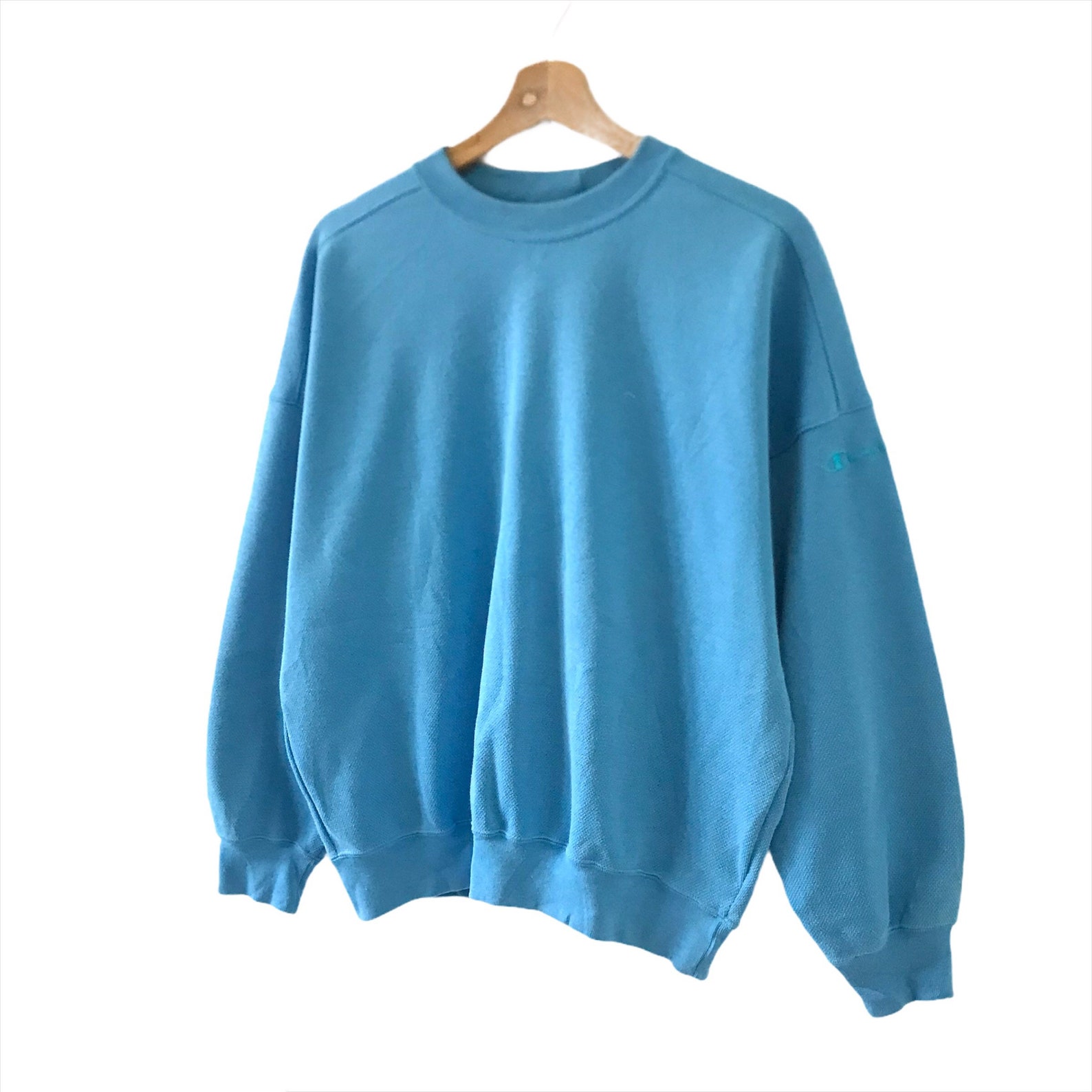 PICK Vintage Champion Sweatshirt Baby Blue Champion Crewneck Etsy