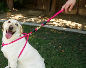 Traffic Leash For Dogs, Short Dog Lead, Training Tab, Multiple Colors, USA Made