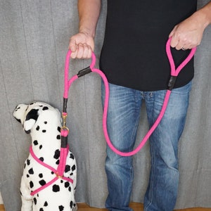 Double handle dog leash, close walking leash, lead with control, dual handle training lead, no pull, multiple colors