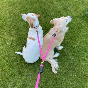 USA Made Dual Dog Leash Coupler, Solid Brass Hardware