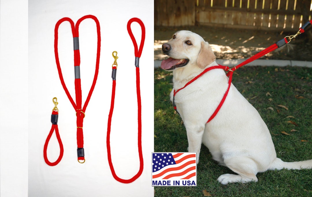 Kit balade avec ton chien: laisse + collier + harnais pour chien