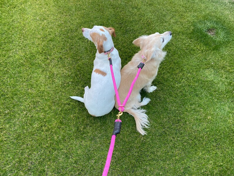 Dual Leash for Two Dogs, Coupler Lead, Tandem Double Leash for Walking