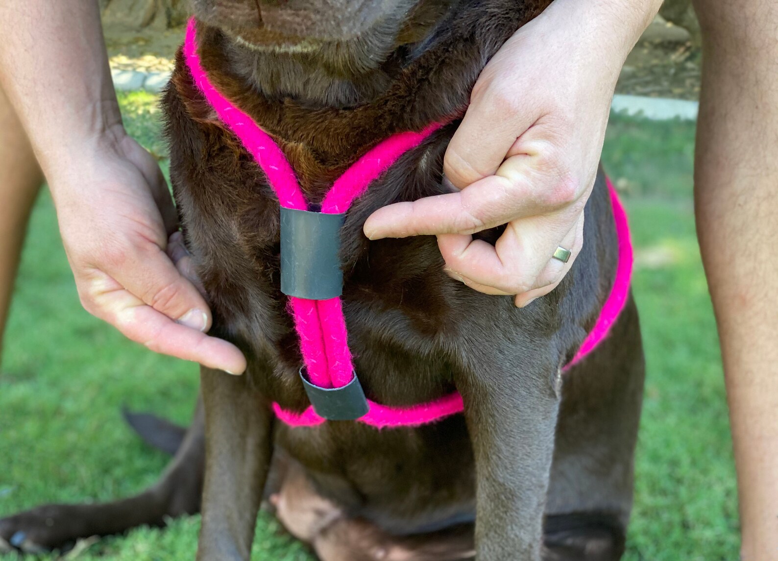 Rope Dog Harness for Large Dogs, Easy Walk No Pull, Custom Mobility