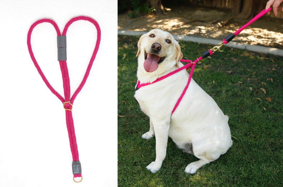 homemade dog harness