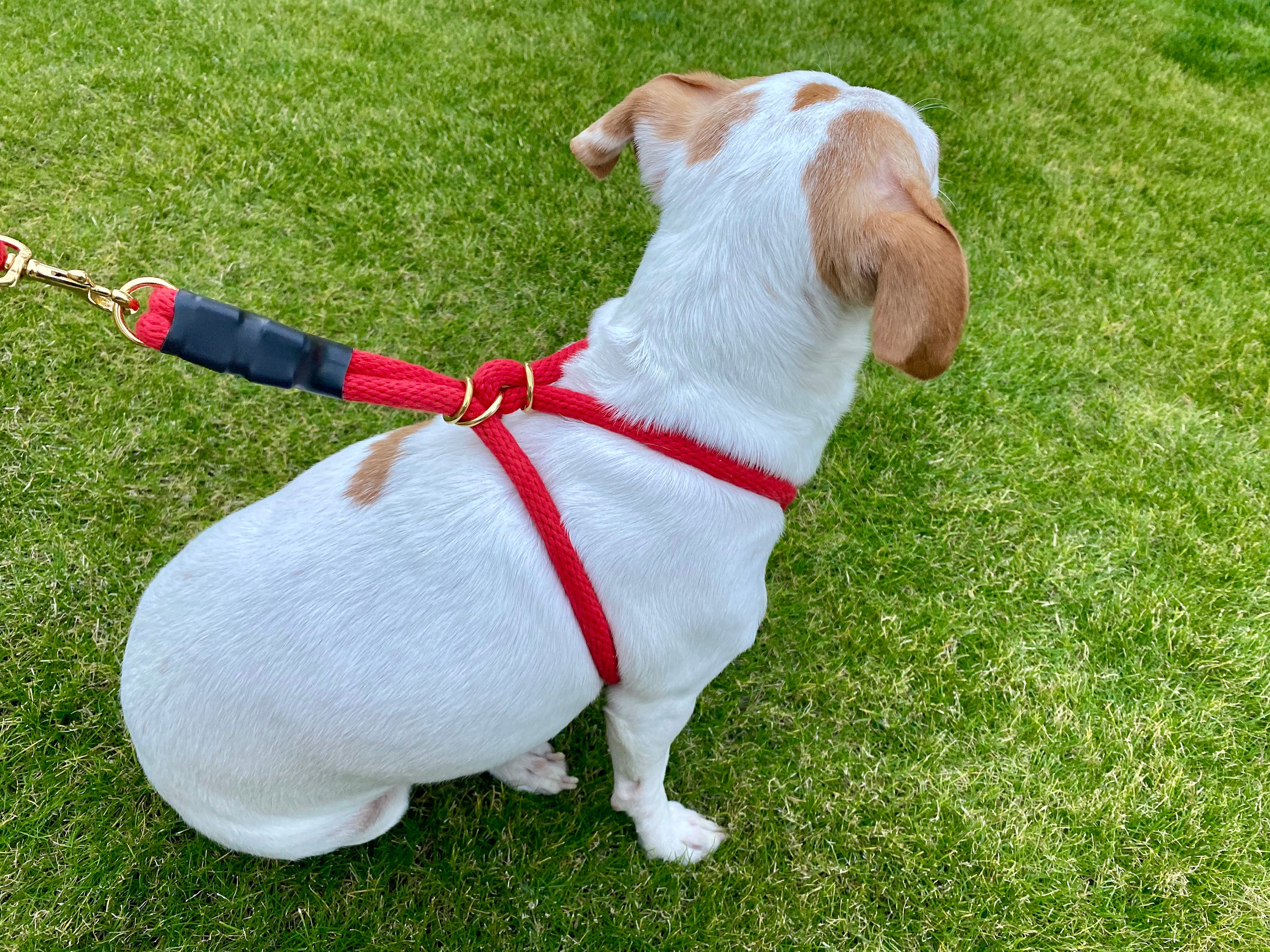 Rope Dog Harness for Large Dogs, Easy Walk No Pull, Custom Mobility