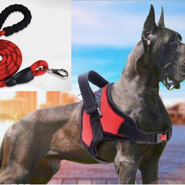 Large Dog Harness Etsy